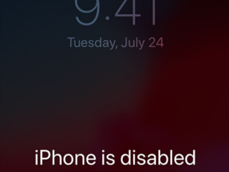 iphone SE disabled