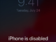 iphone SE disabled