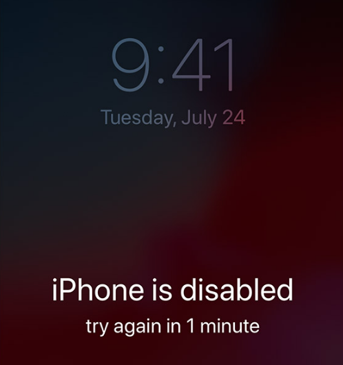 iphone SE disabled